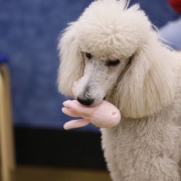 photograph by PeterW